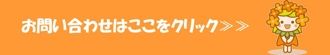 auスマホ＆ケータイ  トヨタカローラ博多