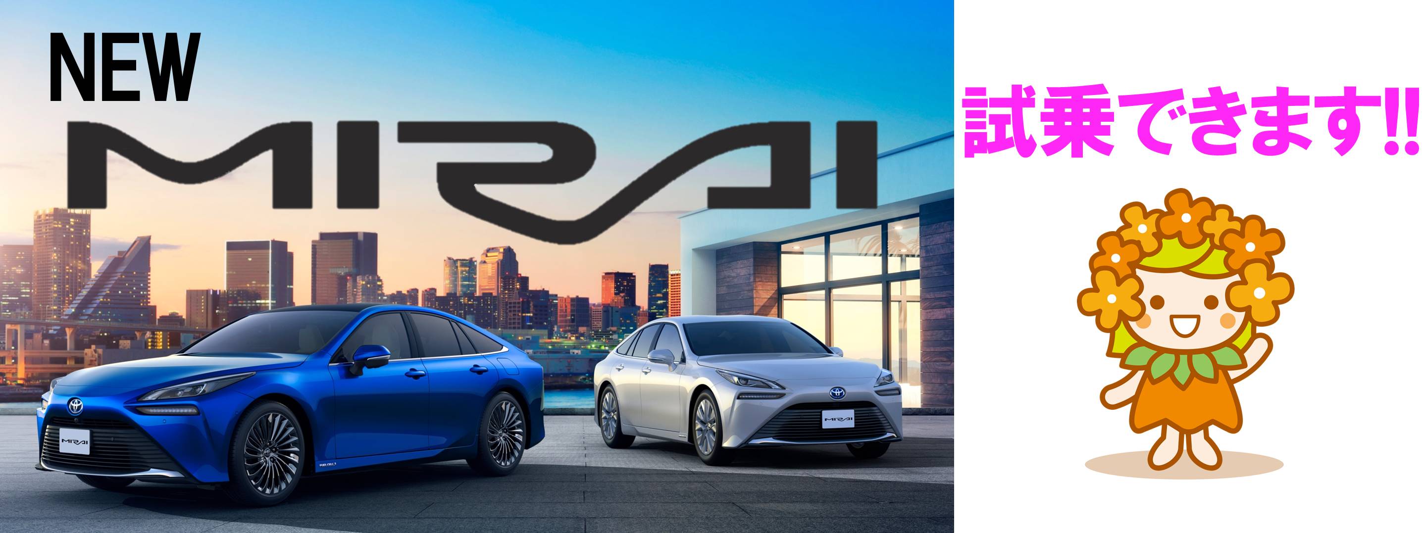 トヨタカローラ博多 公式ホームページ