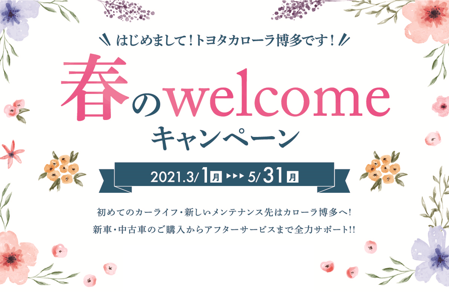 春のwelcomeキャンペーン トヨタカローラ博多