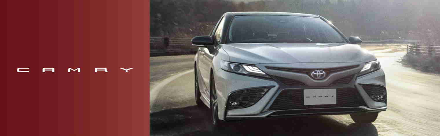 高齢者向けの車としておすすめの車種と選び方のポイントを徹底解説 トヨタカローラ博多