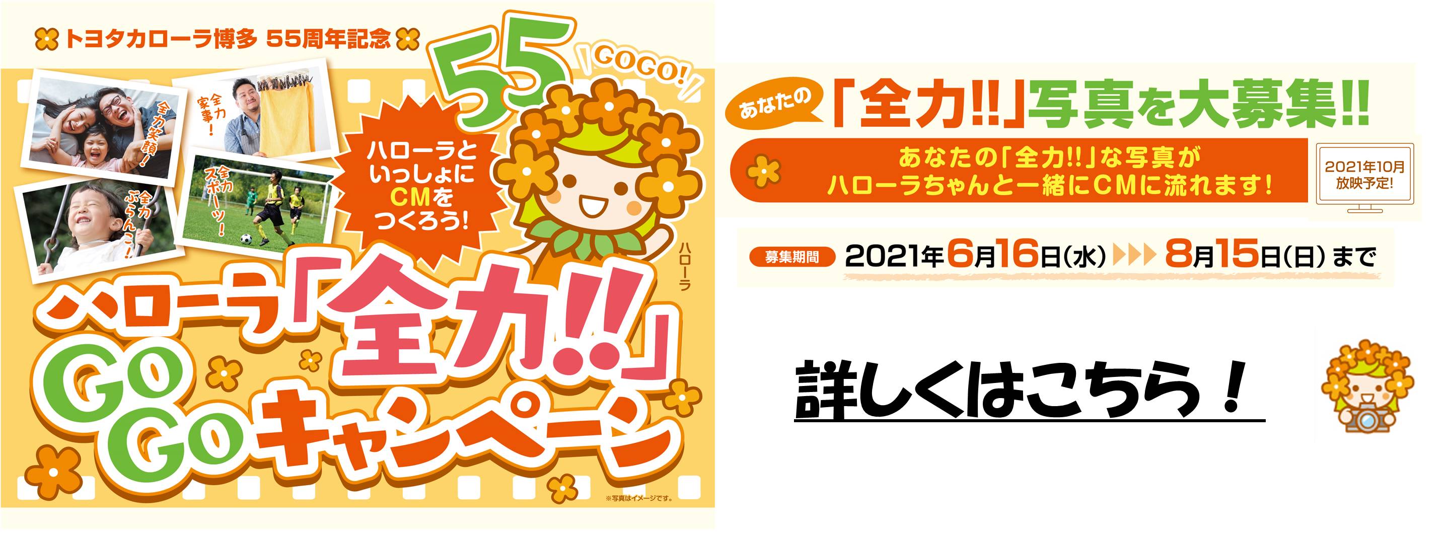 トヨタカローラ博多 公式ホームページ