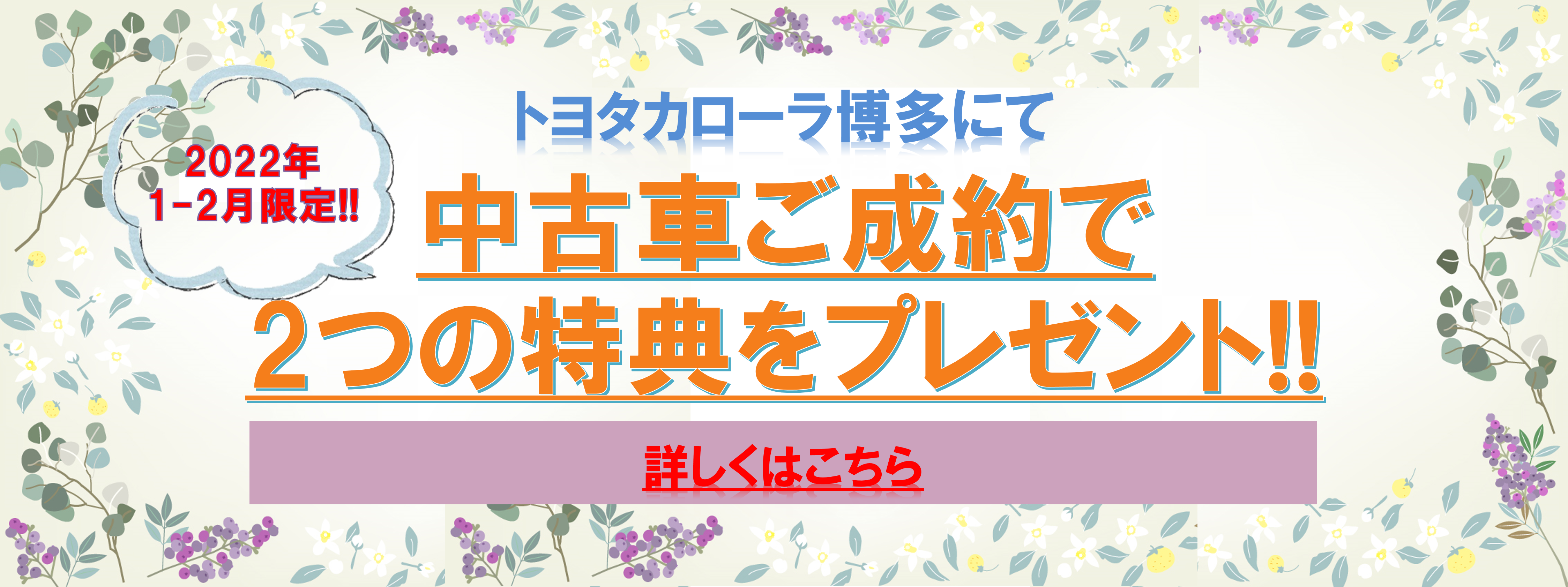 冬トク大感謝祭  トヨタカローラ博多